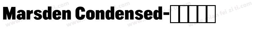 Marsden Condensed字体转换